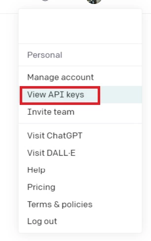 View API Key Open AI
